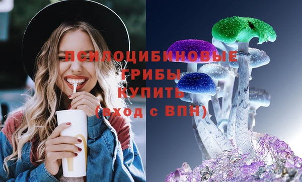 хмурый Россошь