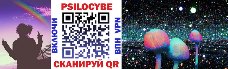 где найти наркотики  Красный Холм  Галлюциногенные грибы мицелий 